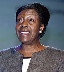 C:\Users\Esy\AppData\Local\Microsoft\Windows\Temporary Internet Files\Content.Word\220px-Hon._Charity_Kaluki_Ngilu_at_Opening_Session.jpg