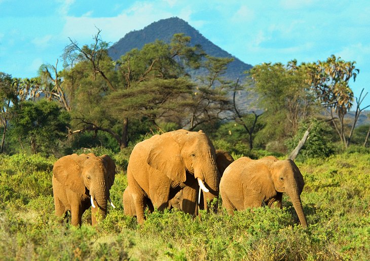 C:\Users\Esy\Desktop\kenya pix\kenya-samburu-national-park.jpg