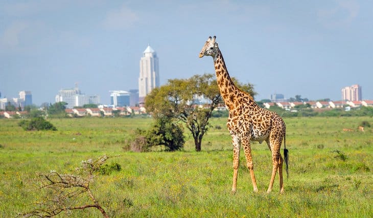 C:\Users\Esy\Desktop\kenya pix\kenya-top-attractions-nairobi-national-park.jpg