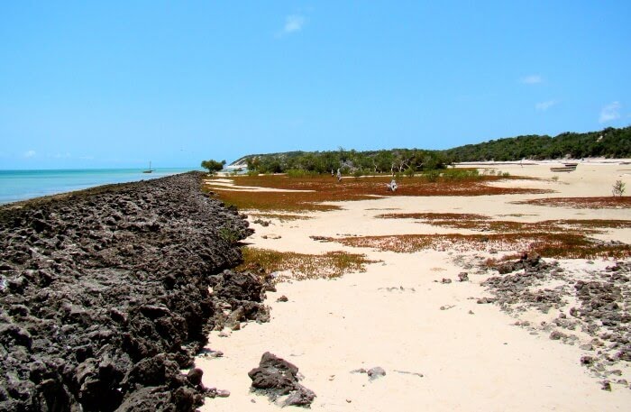 C:\Users\Esy\Desktop\Mozambique\Bazaruto-National-Park.jpg