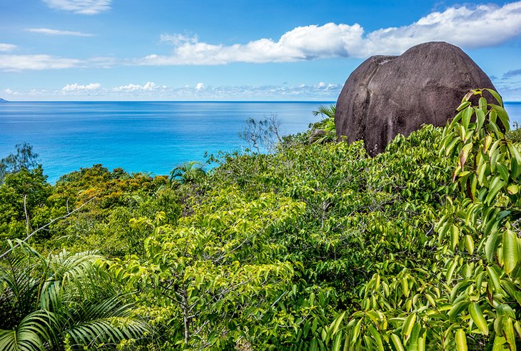 C:\Users\Esy\Desktop\Seychelles\seychelles-top-attractions-morne-seychellois-national-park.jpg