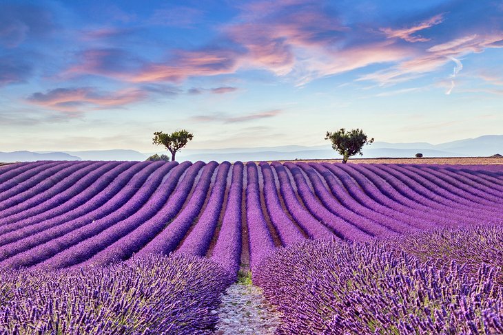 C:\Users\Esy\Desktop\France\france-top-attractions-provence.jpg
