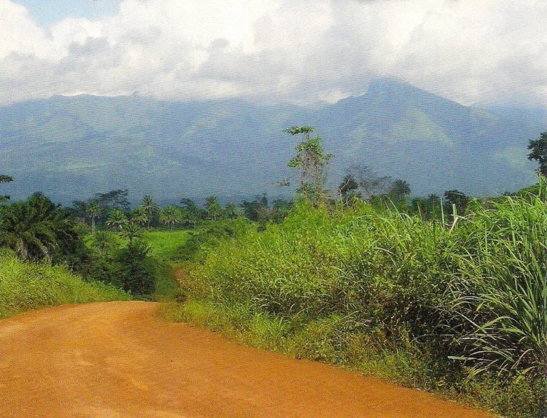 C:\Users\Esy\Desktop\Ivory Coast\Mount-Nimba-Strict-Nature-Reserve-768x588.jpg
