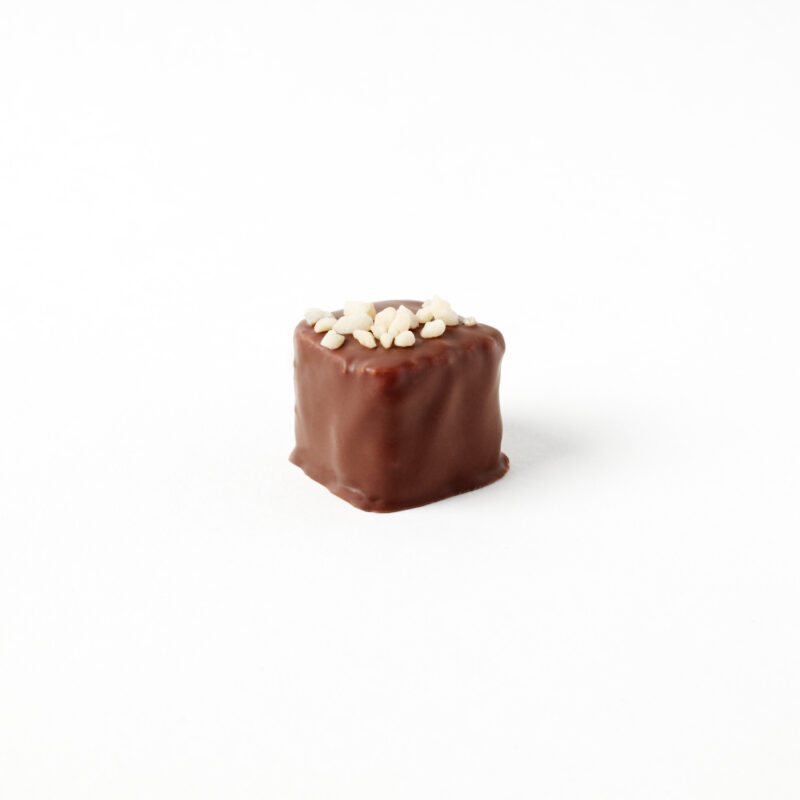 Praline Hazelnut - milk chocolate covered coconut praline 15g