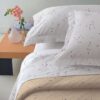 Zucchi