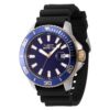 Invicta - ViviBrands