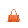 Coccinelle X073