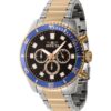Invicta - ViviBrands