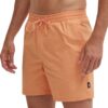 Buy Vans - Men, Clothing, Swimwear - Brown for only