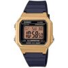 Casio Watches